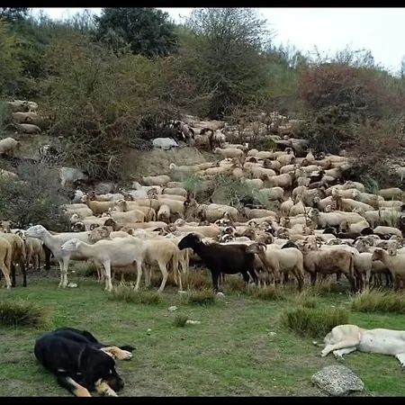 Estrella Del Alba Villarino de Sanabria