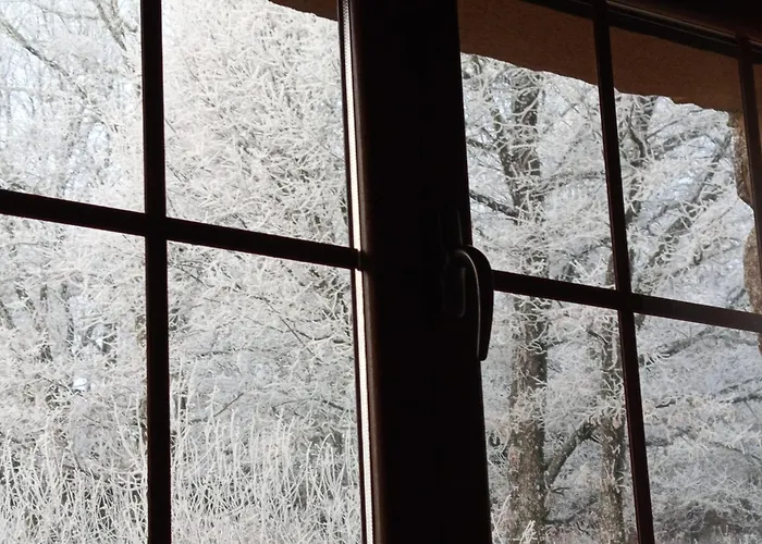 Estrella Del Alba * Villarino de Sanabria