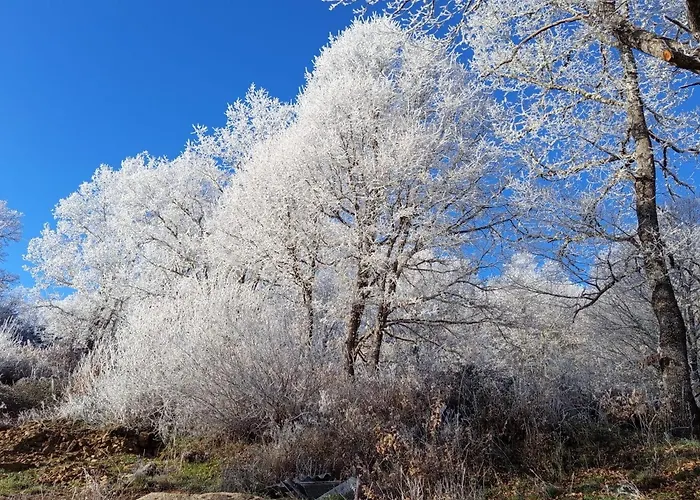 샬레 Estrella Del Alba *